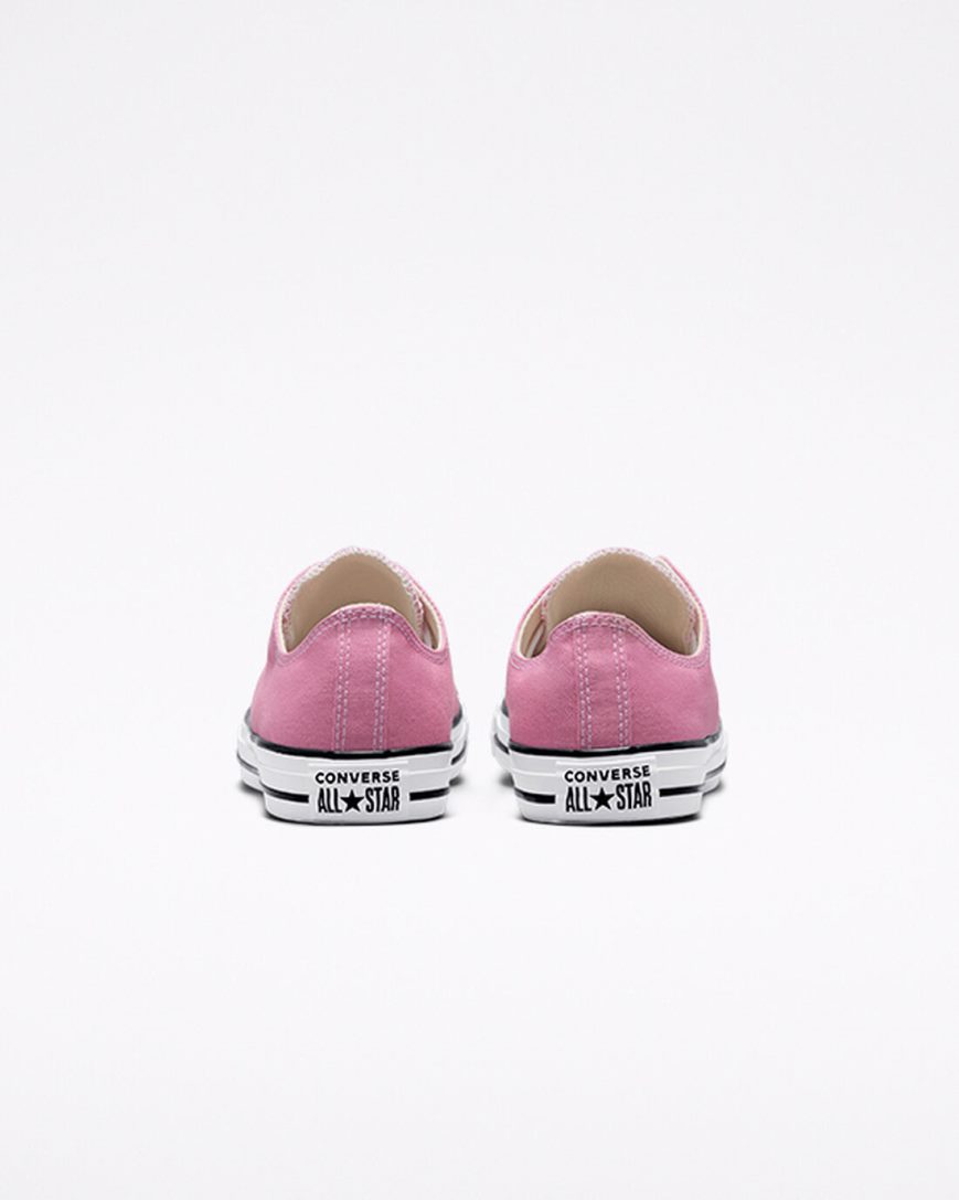 Women's Converse Chuck Taylor All Star Seasonal Color Low Top Shoes Pink | AU C690EZ